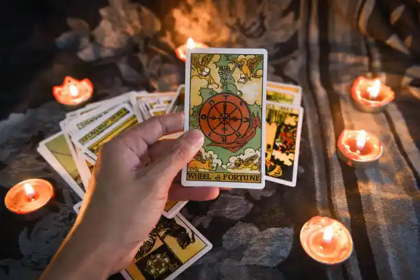 tarot cards Oradell